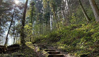 Elias entdeckt im Wald das Geheimnis der Beziehung