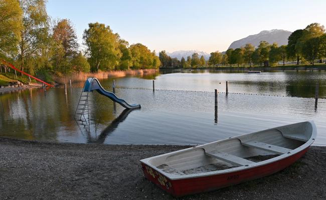 Baden mit Biber im Baggersee