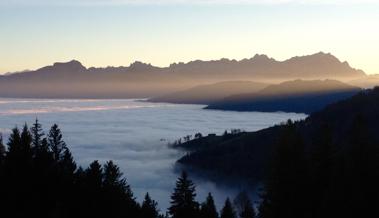Der Nebel und seine bessere Hälfte
