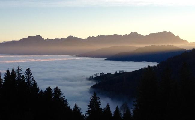Der Nebel und seine bessere Hälfte