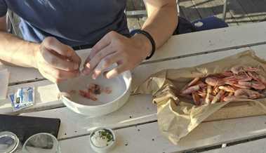 Der Appetit kommt beim Essen oder wie ich den Sommer fand, der mich überraschte