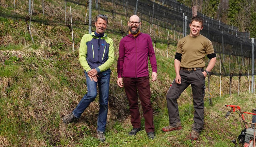 Bereits Anfang Jahr übernahm Winzer Roland Lenz (l.) als Pächter die Verantwortung für den Stegeler Weinberg, zusammen mit Winzer Ueli Messmer aus Thal (r.) In der Mitte Jakob Federer. 