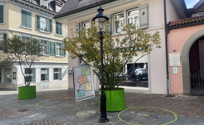 Frisches Grün für die Marktgasse und für ein besseres Stadtklima