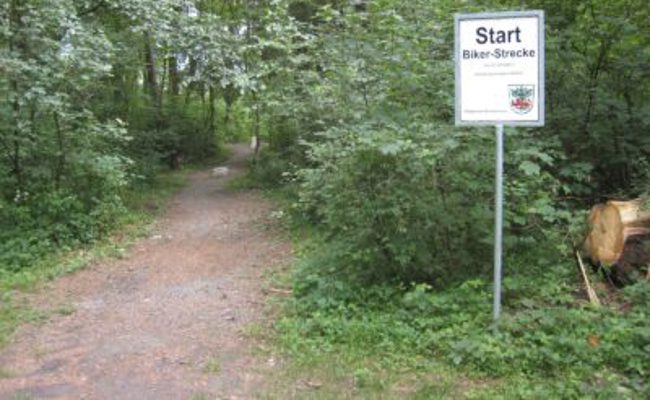 Infoanlass der Ortsgemeinde zur Ausforstung des Kriessner Wäldli