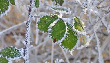 Bevor die Saison beginnt: Das sollte man im Februar trotzdem erledigen