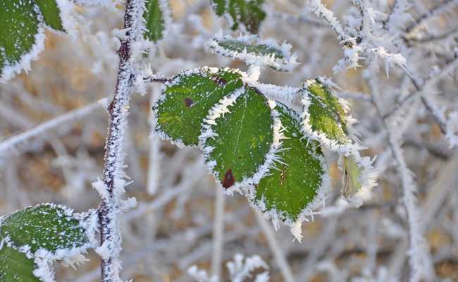 Bevor die Saison beginnt: Das sollte man im Februar trotzdem erledigen
