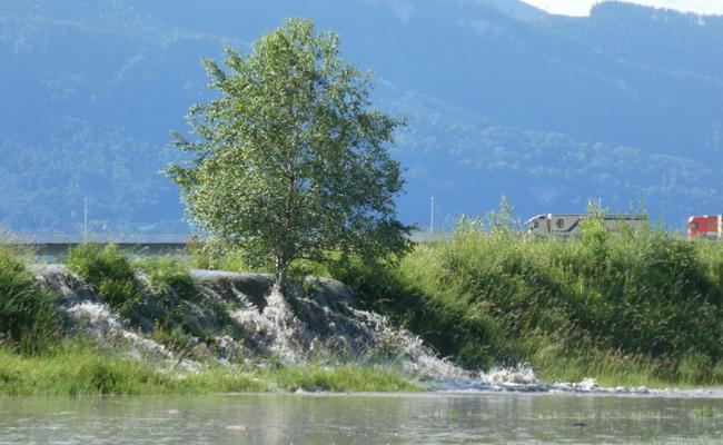 Die Rheinholzer sind ausgerückt