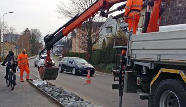 Kieswüste durch Steine und Blumen ersetzen