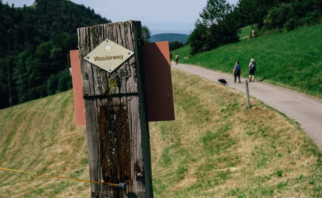 Anmeldepflicht bei geführten Wanderungen: Frischer Wind beim Wandern ab dem nächsten Jahr