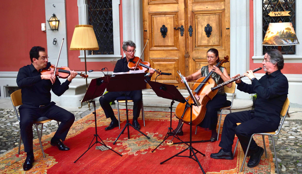 Kammermusik im Grünen: Löwenhofserenade mit Werken von Mozart und Krommer