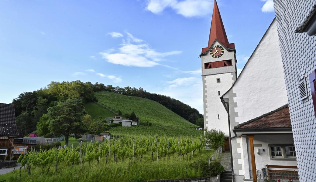 Eine Mobilfunkantenne würde im Landschaftsschutzgebiet erheblich stören, finden Einsprecher. Zumal der Antennenmast dicker wäre und mehr ins Auge stechen würde als das Bauvisier (in der Bildmitte, rechts vom Reservoir).