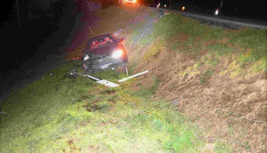 20-Jährige kommt mit dem Auto von der Strasse ab, durchbricht die Leitplanke und landet im Wiesenbord