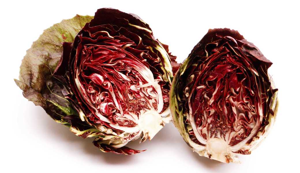 Die hübsche rote Farbe bekommt Radicchio erst wenn die Nächte deutlich kühler sind. 