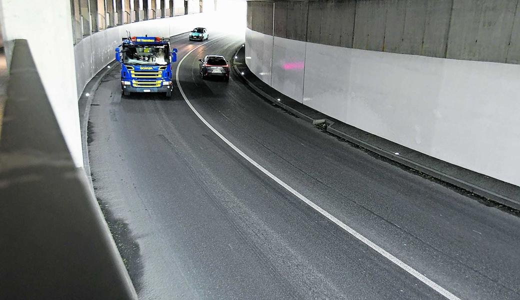 Die Geräte im Gebüsch messen die Lichtmenge und steuern die Helligkeit der Beleuchtung im Tunnelinneren.