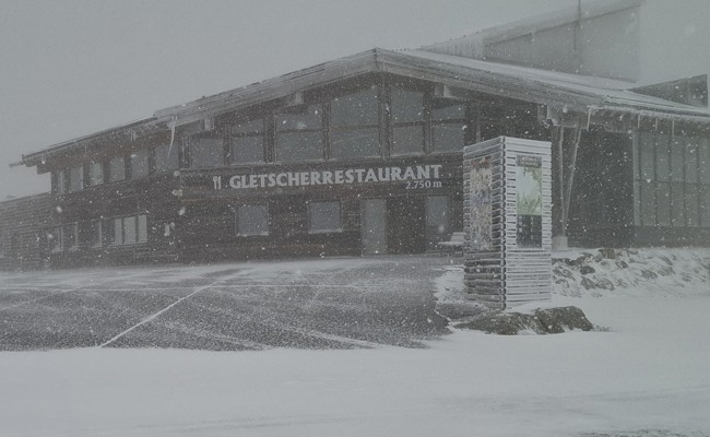 Nach dem ersten Schneeball des Winters freue ich mich schon wieder auf den Sommer