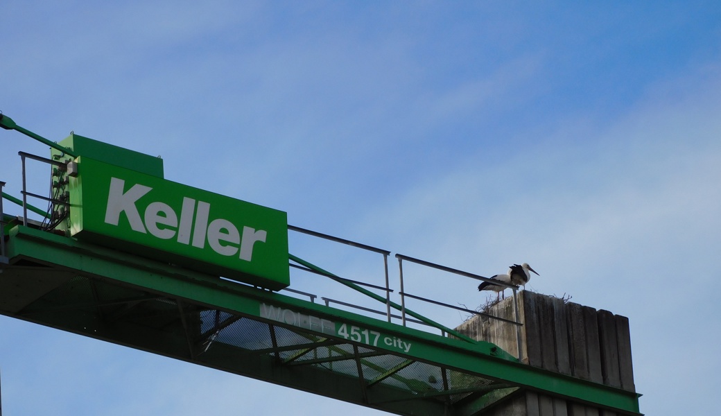 Das Storchenpaar hat sich einen aussergewöhnlichen Ort für sein Nest ausgesucht.