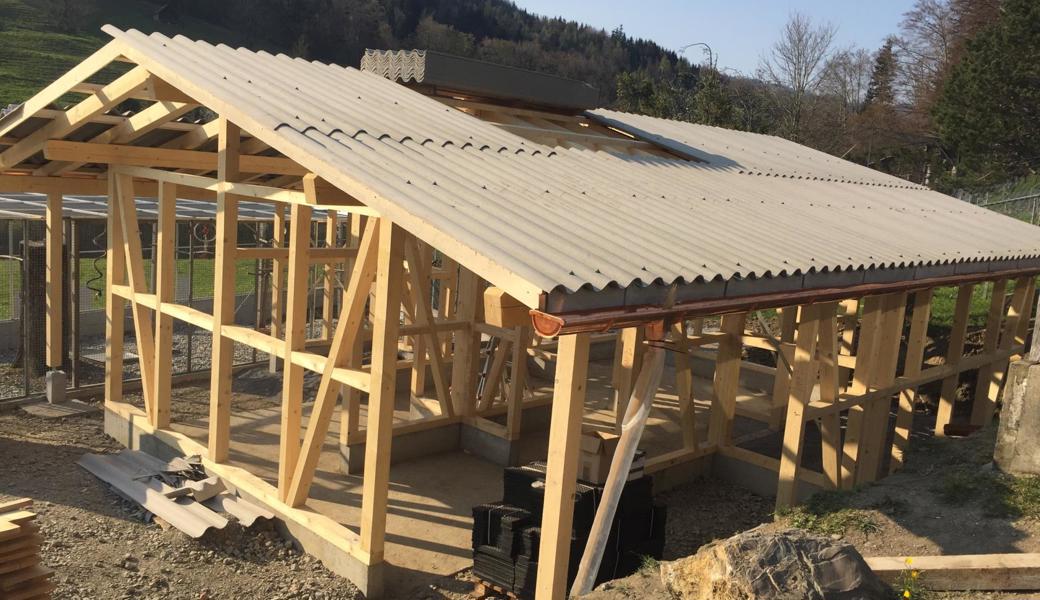 Lernende, Menschen aus der Sozialhilfe und einige weitere Helfer haben den Stall gebaut.