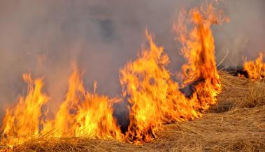 Weder Fahrlässigkeit noch Brandstiftung