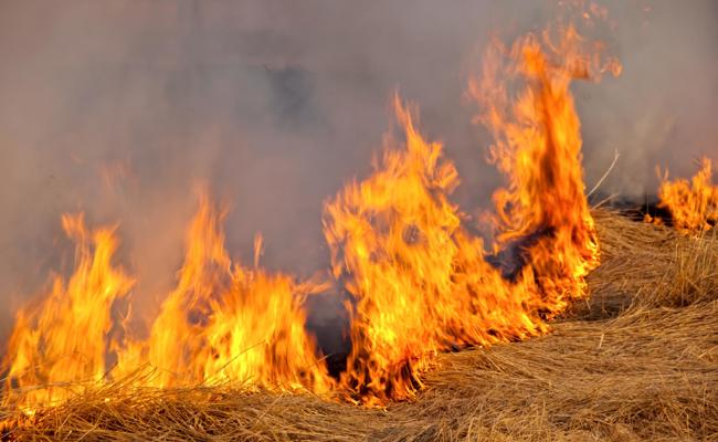 Weder Fahrlässigkeit noch Brandstiftung