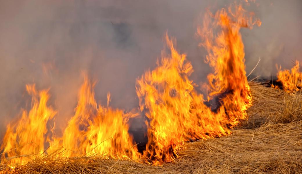 Auf einem Bauernhof in Höchst gab es einen Grossbrand.