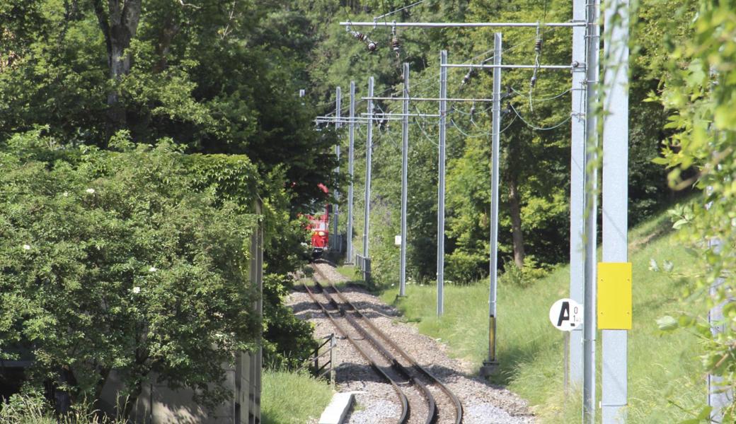 Die «Gaiserbahn» möge bloss nicht ganz verschwinden, lautet eine verbreitete Hoffnung, die ebenso fürs Walzenhauserbähnli und für die Strecke Rorschach-Heiden gilt.