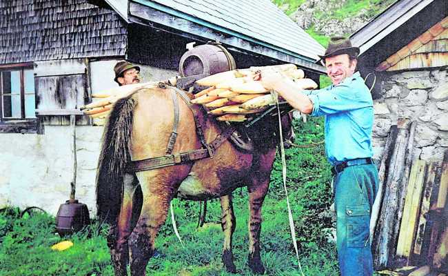 «Es ist einfach der schönste Platz»: Ueli Leuener blickt zurück auf 48 Jahre z’Alp