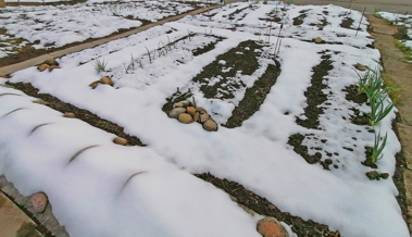 Die winterliche Stille verrät einiges über unseren Umgang mit der Natur