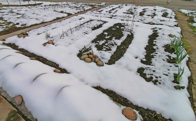 Die winterliche Stille verrät einiges über unseren Umgang mit der Natur