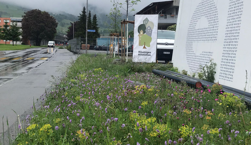 Auch im Industriegebiet kann biodivers aufgewertet werden