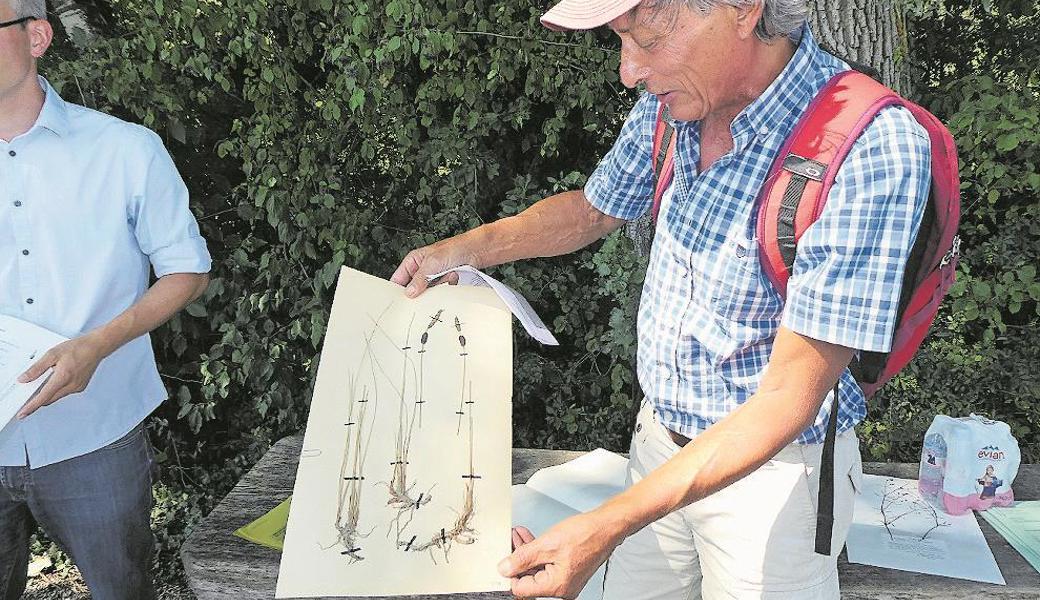 Das Medieninteresse an der Rettungsaktion des Kleinen Rohrkolbens war gross.