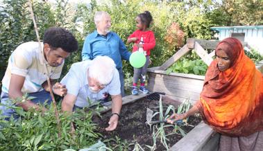 Kohlrabi kennt man in Somalia nicht