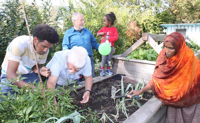 Kohlrabi kennt man in Somalia nicht