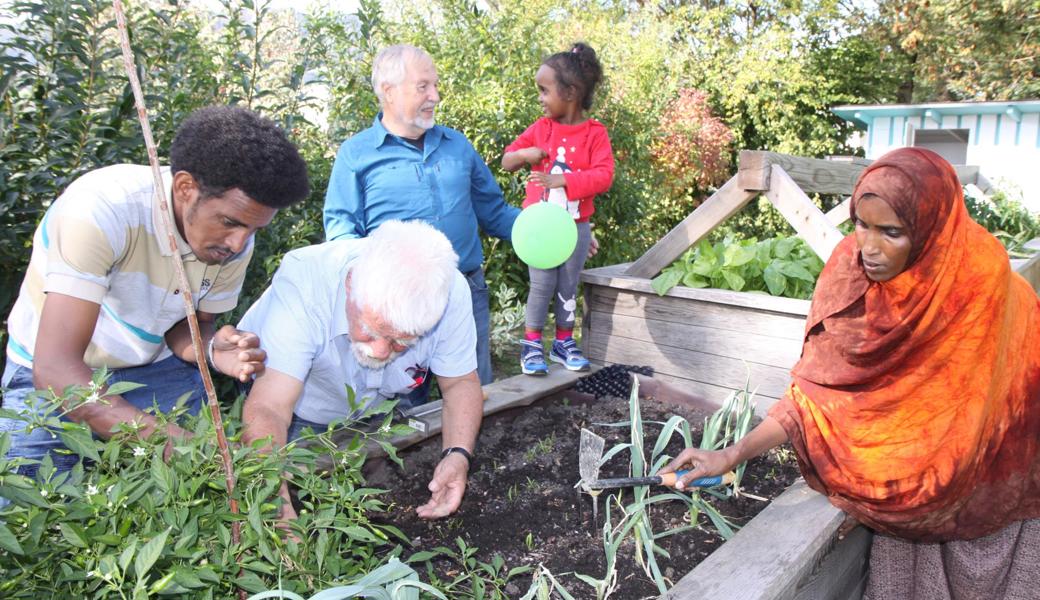 Migranten und Einheimische arbeiten gemeinsam (von links): Agos Mogos aus Eritrea, Paul Ackermann (Präsident Verein Vitas), Albert Egger (Kassier Verein Vitas) und Bule Kaltu aus Somalia mit Tochter Ramla.