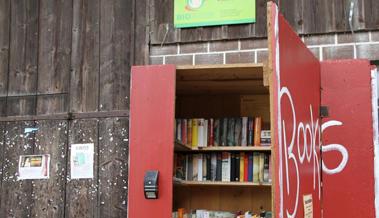 In Eichberg gibt es einen 24/7-Büchertauschschrank