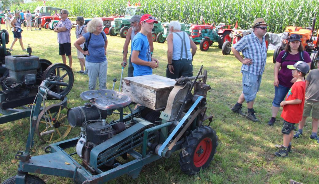 Das Oldtimer-Treffen der Traktorfreunde war sehr gut besucht und die Zahl der aufgereihten Fahrzeuge beeindruckend. 