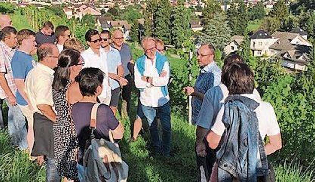 Beim Rundgang durch das Schlossgut erfuhren die Gwerbler einiges über die tägliche Arbeit in den Reben. 