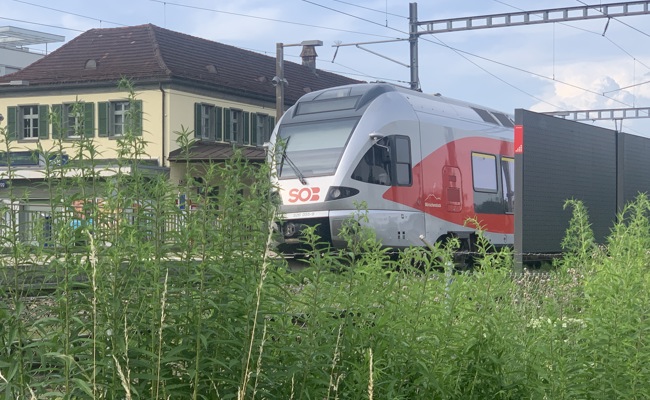 Unterwegs im Zug nach Rebstein-Marbach – Gedanken eines Seelsorgers