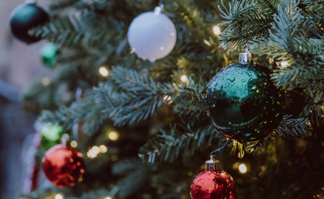 In vielen Gemeinden steht ein Weihnachtsbaum. Wir zeigen spezielle Exemplare