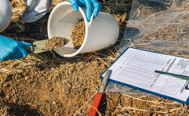 Der Kanton sucht nach Gift in Rheintaler Böden