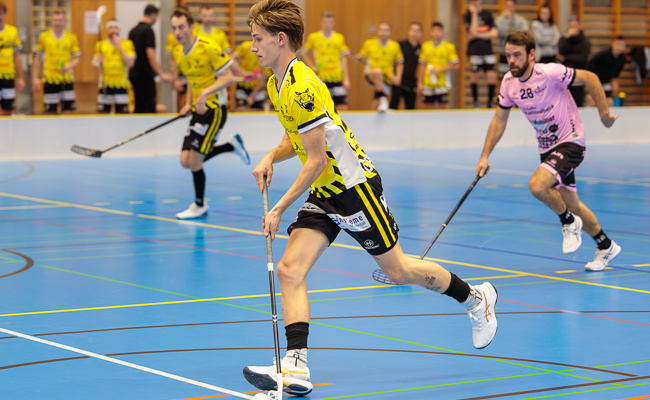 Die Rheintal Gators wollen im letzten Heimspiel vor den Playoffs ihre Siegesserie ausbauen
