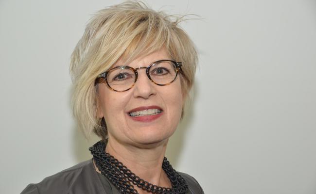 Amt für Kultur koordiniert Unterstützung