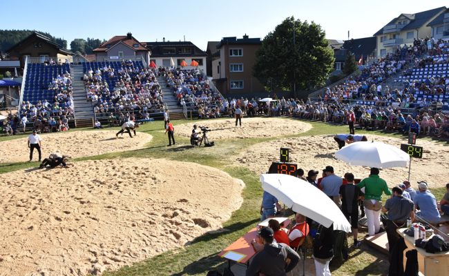 Sonniger Auftakt mit offensiven Schwingern am Kantonalschwingfest  in Oberegg