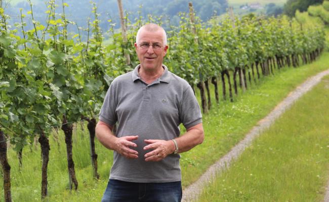 Erneuerter Weinwanderweg ist eröffnet