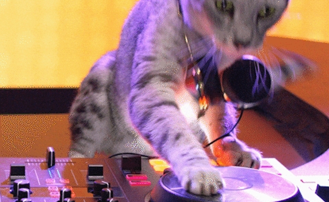 Drei Musikunterhaltungen, Musical und Livekonzerte - das läuft am Wochenende