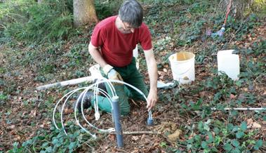 Ein Auge auf den Wald haben