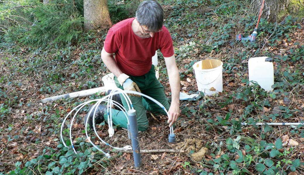 Ein Biologe installiert ein Lysimeter, eine Vorrichtung, mit der sich der Wasserhaushalt des Waldbodens beurteilen lässt – und auch, ob der Boden übersäuert ist.
