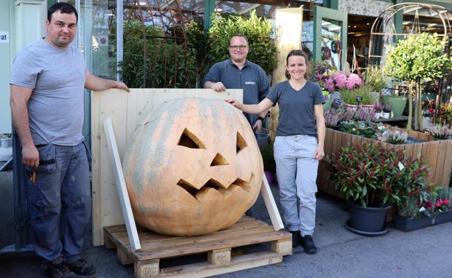 250-Kilo-Halloween-Kürbis auf der Breite