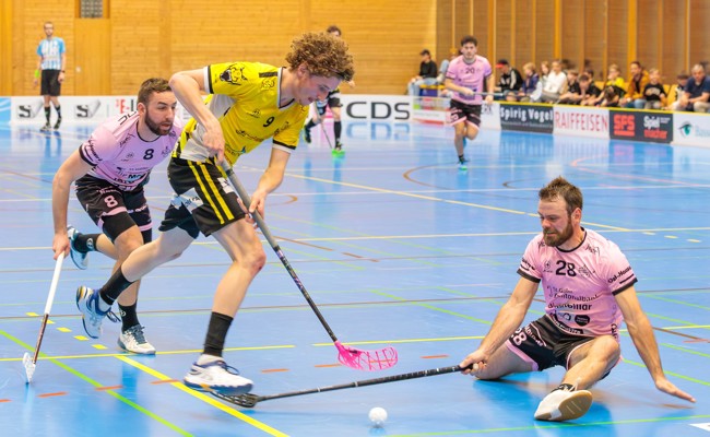 Die überragende Saison der Rheintal Gators ist zu Ende