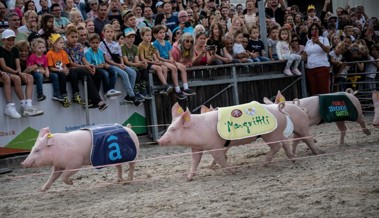 Nach Bundesgerichtsurteil zum Säulirennen: Wie aus unschuldigem Anlass ein Fall für die Justiz wurde