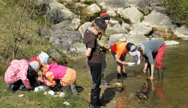 Bald können Plätze im «FerienSpass» direkt gebucht werden